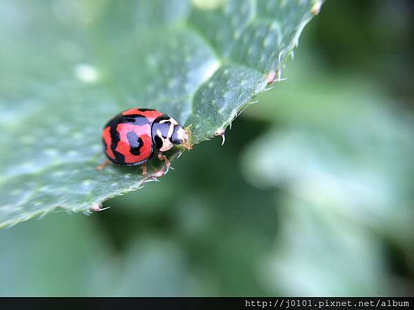 2015-02-23 11.19.20 2015-02-23 11.19.20