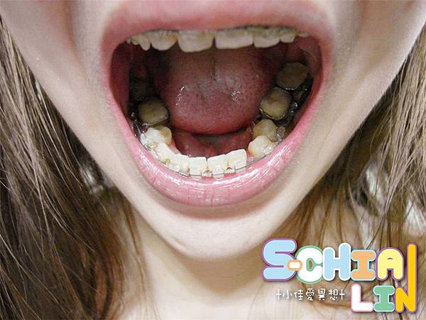 SAM_9008_副本 SAM_9008_副本