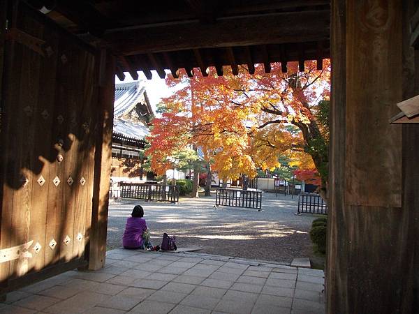 DSCN1524 DSCN1524