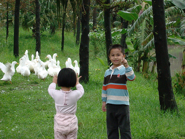 DSC05905.JPG DSC05905.JPG