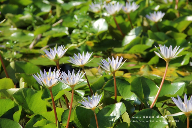 <多日旅遊整理>高雄墾丁小旅行(2012.8.12~14) <多日旅遊整理>高雄墾丁小旅行(2012.8.12~14)