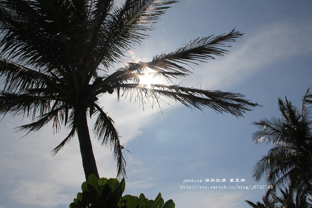 <遊記>墾丁.萬里桐&紅柴坑夕照 <遊記>墾丁.萬里桐&紅柴坑夕照