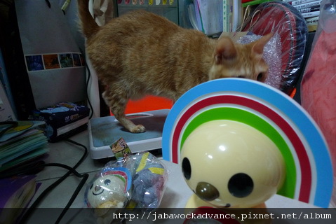 P1070241_調整大小.JPG P1070241_調整大小.JPG