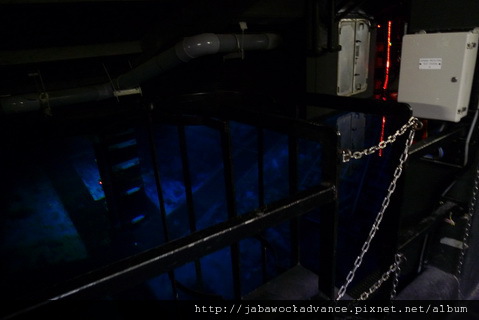 P1140627_resize.JPG P1140627_resize.JPG