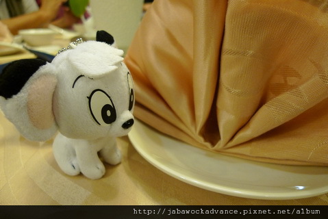 P1130541_resize.JPG P1130541_resize.JPG