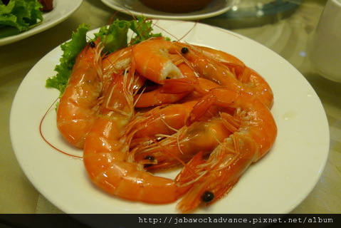 P1130557_resize.JPG P1130557_resize.JPG