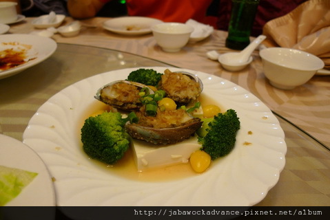 P1130565_resize.JPG P1130565_resize.JPG