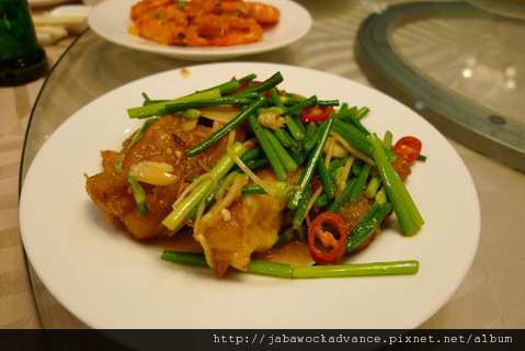 P1130571_resize.JPG P1130571_resize.JPG