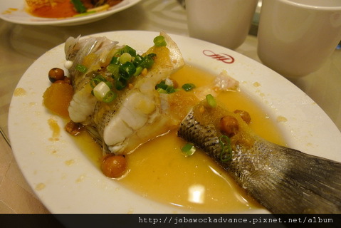 P1130575_resize.JPG P1130575_resize.JPG