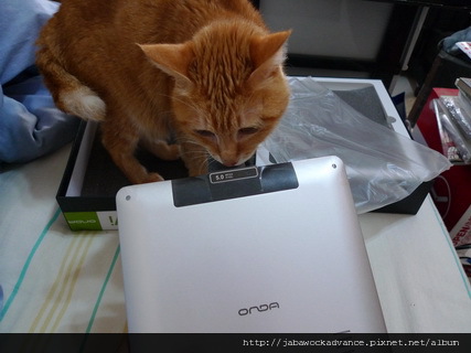 P1160998_resize P1160998_resize