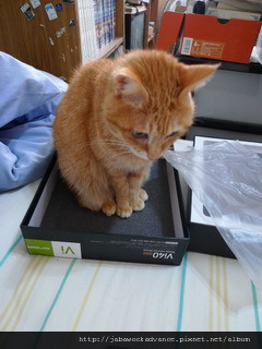 P1170001_resize P1170001_resize