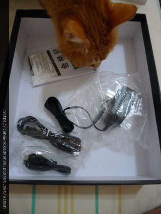 P1170004_resize P1170004_resize