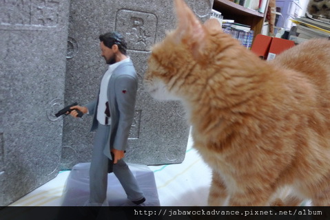 P1180478_resize P1180478_resize