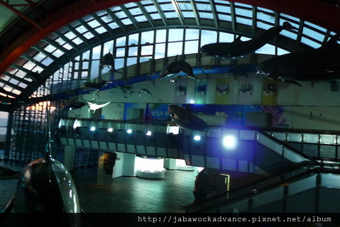 P1280134_resize P1280134_resize