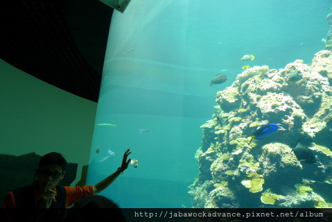 P1280153_resize P1280153_resize