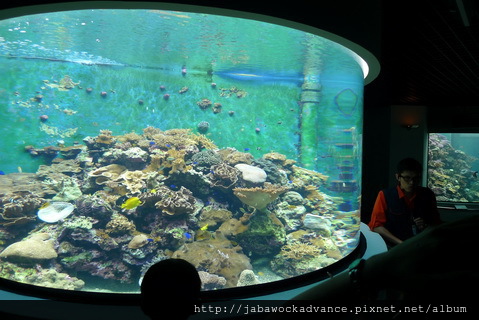 P1280139_resize P1280139_resize