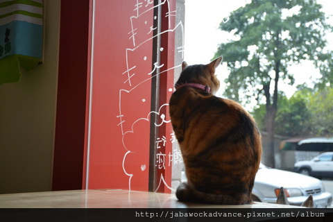 DSC_0482_resize.JPG DSC_0482_resize.JPG