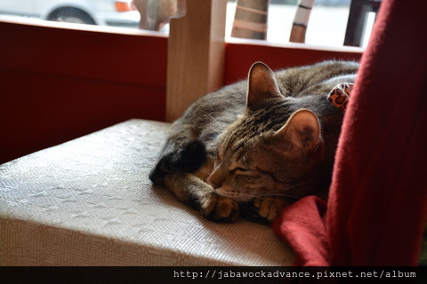 DSC_0483_resize.JPG DSC_0483_resize.JPG