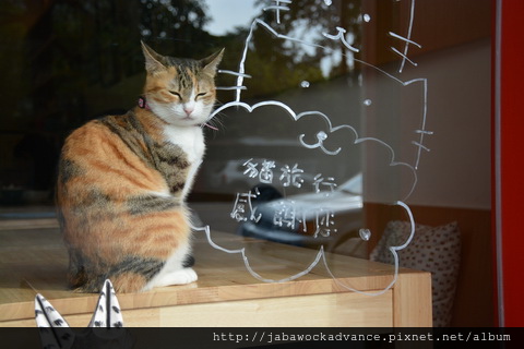 DSC_0486_resize.JPG DSC_0486_resize.JPG