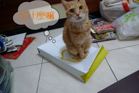 相片小畫家上傳