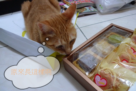 相片小畫家上傳