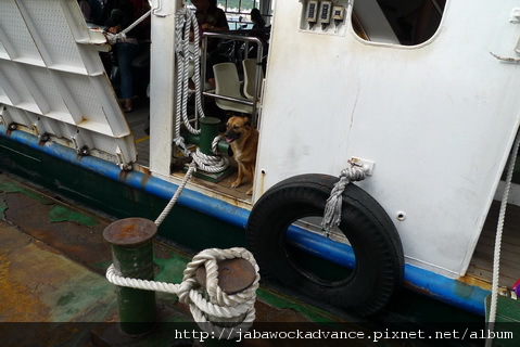 P1070406_resize.JPG P1070406_resize.JPG