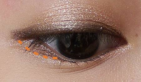 P1100532-2.JPG