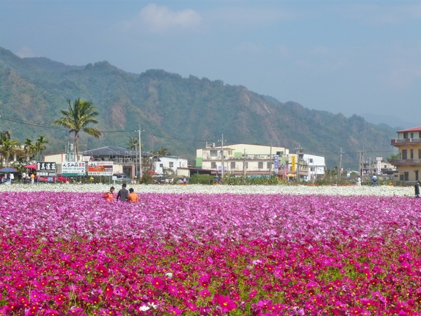 這不是在北海道,這是在台灣