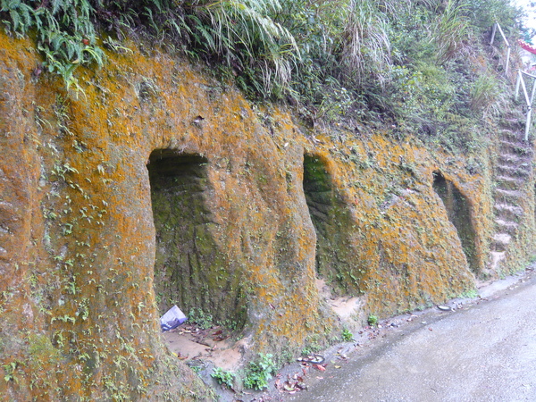 先說這不是墳墓 先說這不是墳墓