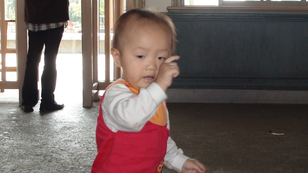 集集小火車 集集小火車