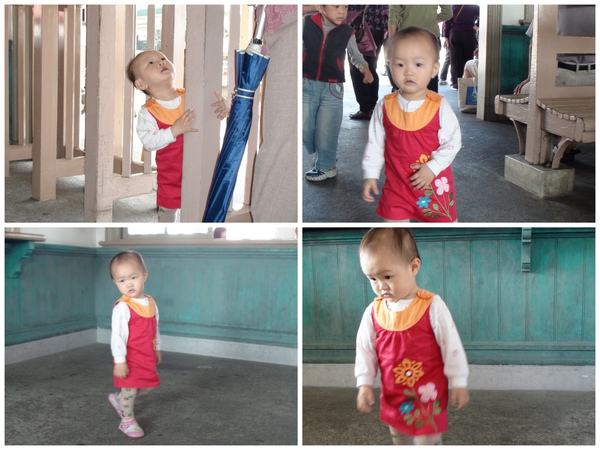 集集小火車 集集小火車