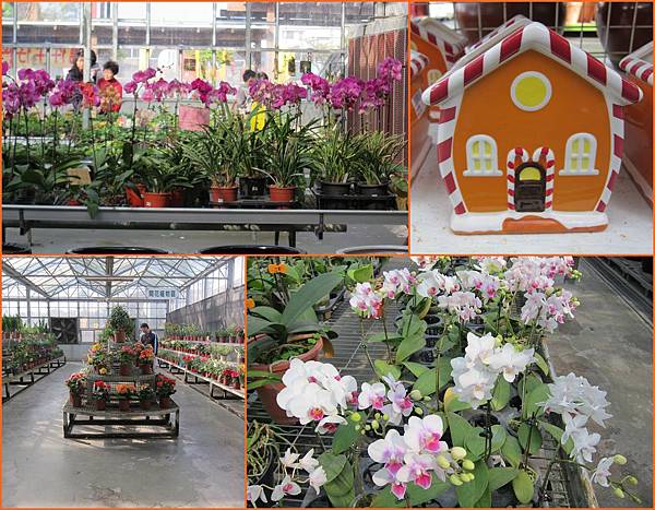 08花卉展售室-內部花卉.jpg 08花卉展售室-內部花卉.jpg