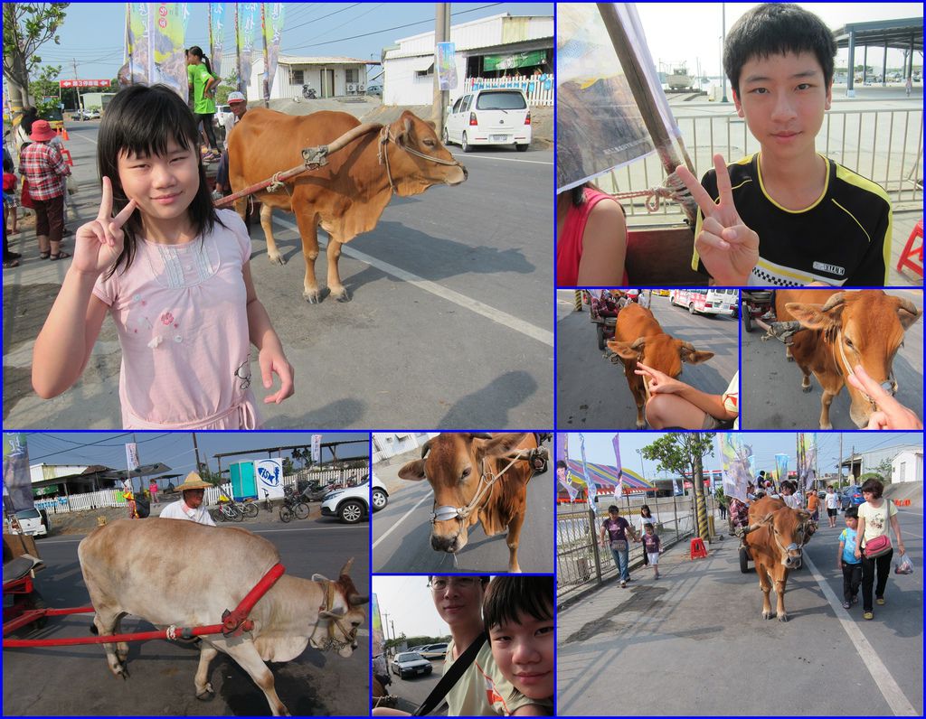 06搭牛車體驗.jpg 06搭牛車體驗.jpg