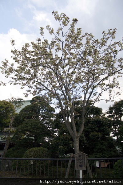 成田山新勝寺