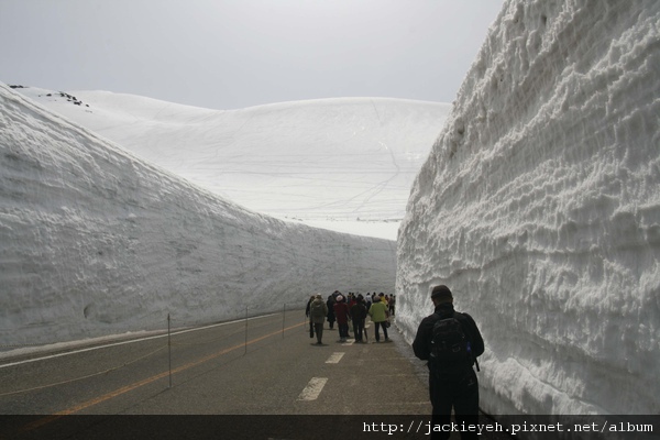 立山雪壁