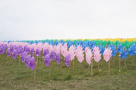 1031115三鶯桃花源看彩虹風車9