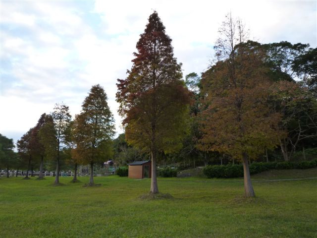 P1080230.JPG P1080230.JPG