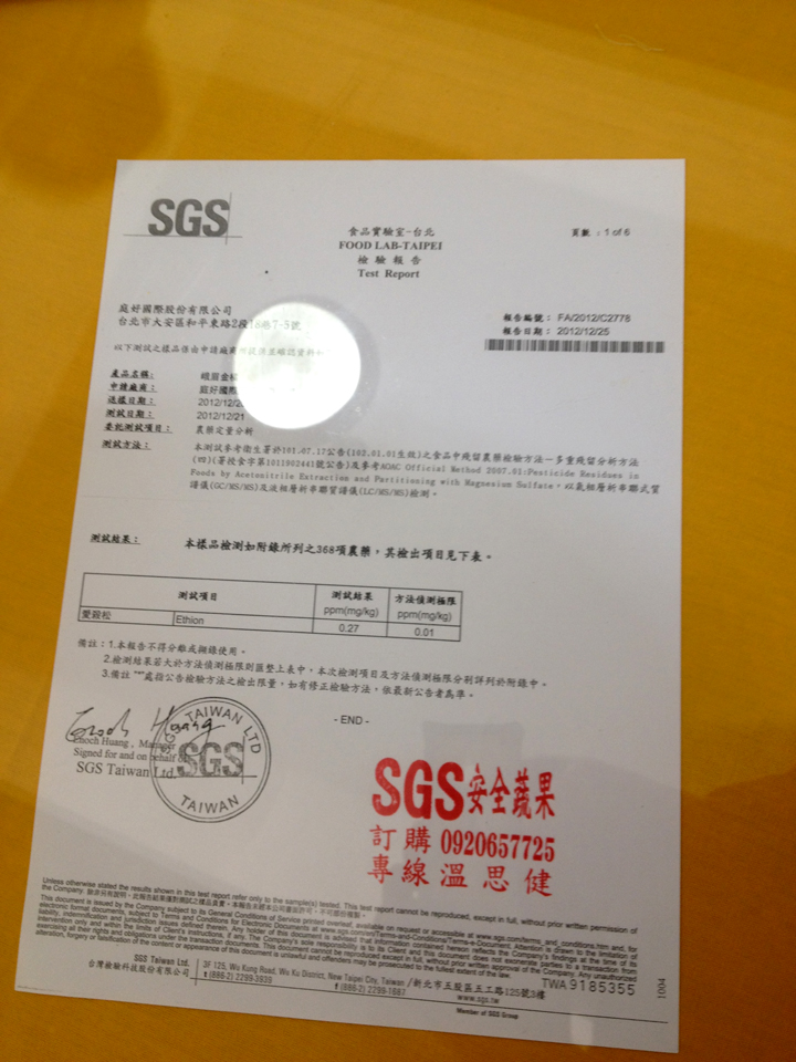 陽光番茄05 陽光番茄05