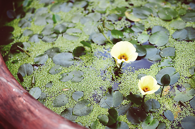 DSC_0768.jpg DSC_0768.jpg