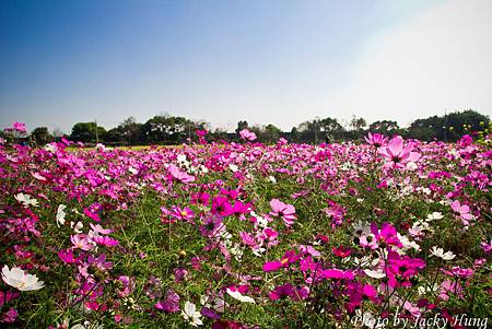 20120127-IMG_9555.jpg 20120127-IMG_9555.jpg