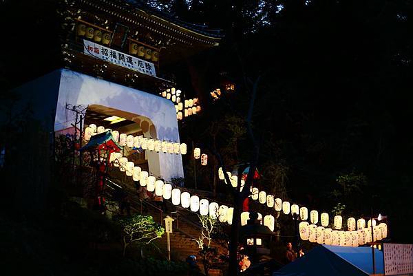 IMG_4668.JPG IMG_4668.JPG