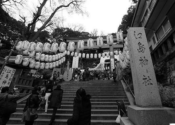 IMG_4630.JPG IMG_4630.JPG