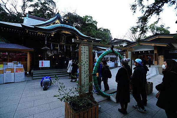 IMG_4641.JPG IMG_4641.JPG