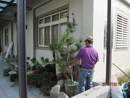 IMG_0033.JPG IMG_0033.JPG