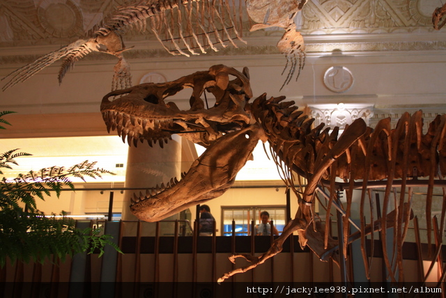 IMG_5684.JPG IMG_5684.JPG