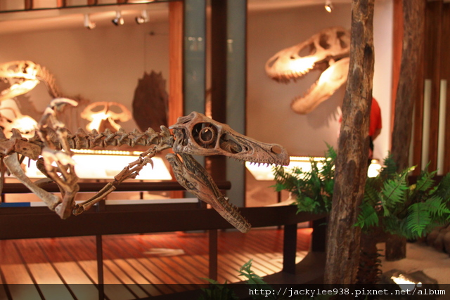 IMG_5667.JPG IMG_5667.JPG