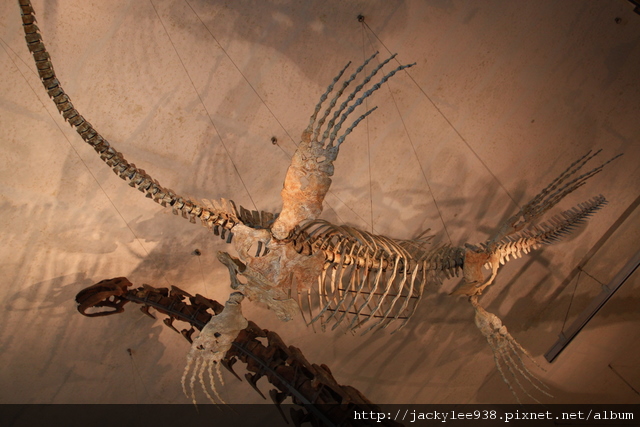 IMG_5671.JPG IMG_5671.JPG