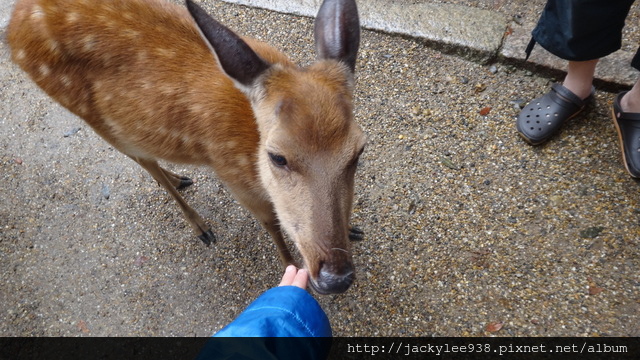 DSC01229.JPG DSC01229.JPG