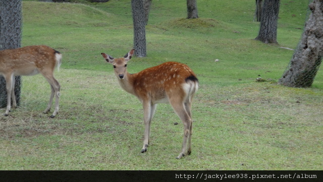 DSC01245.JPG DSC01245.JPG