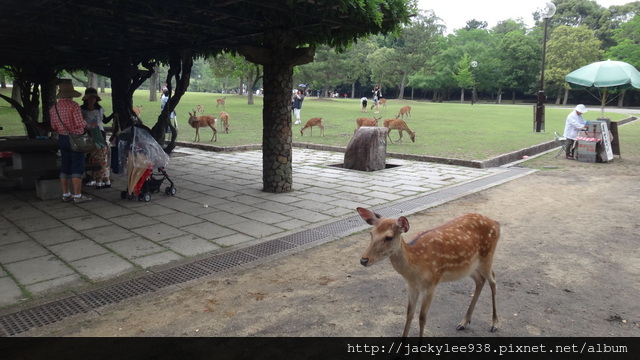 DSC01247.JPG DSC01247.JPG